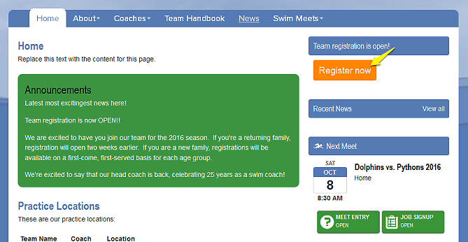 announcement-and-buttons-container-input-button-background-adj.png