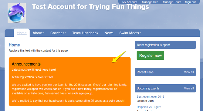 announcement-and-buttons-snippet-announcement_snippet-normal-background-adj.png
