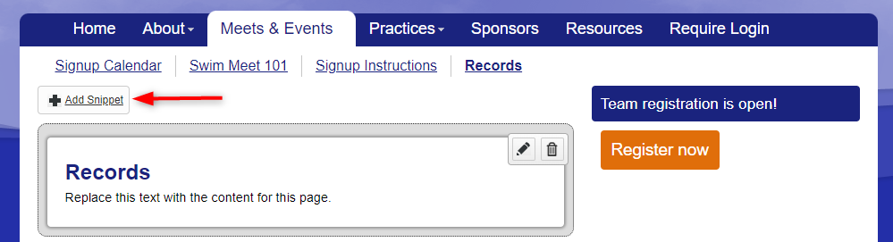 ADD_SNIPPET-BUTTON.png