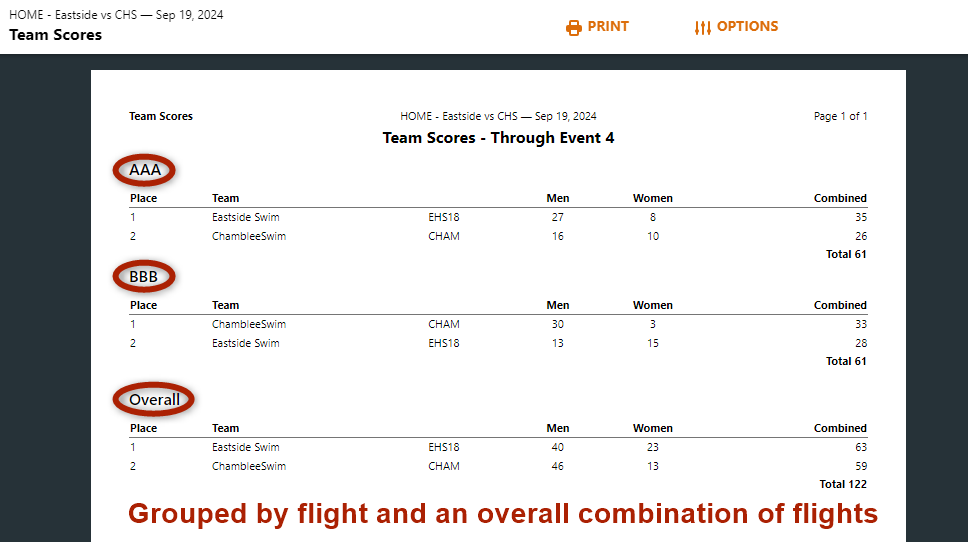 DIVISIONS-FLIGHT-TEAM_SCORES.png