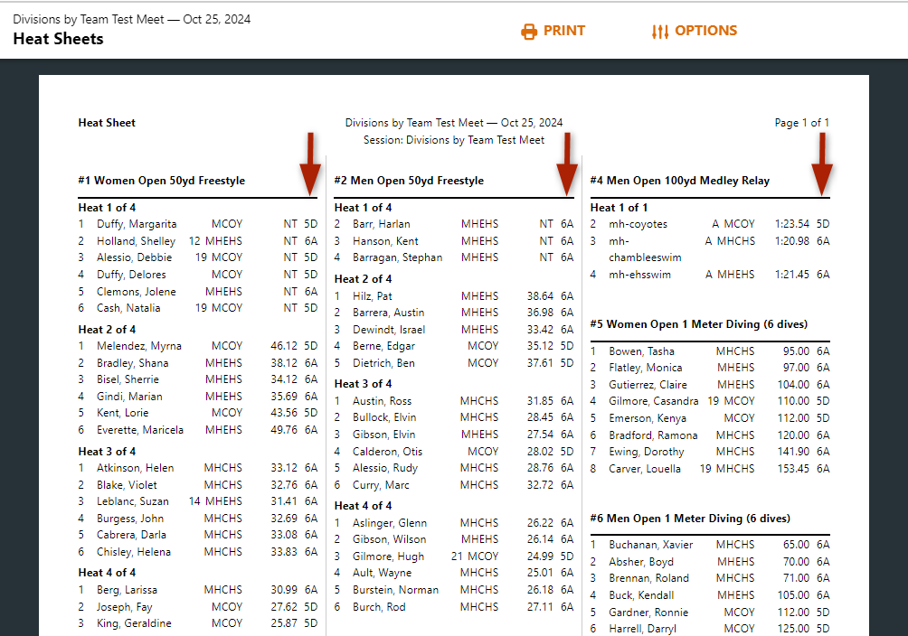 DIVISIONS-TEAM-HEAT_SHEET1.png
