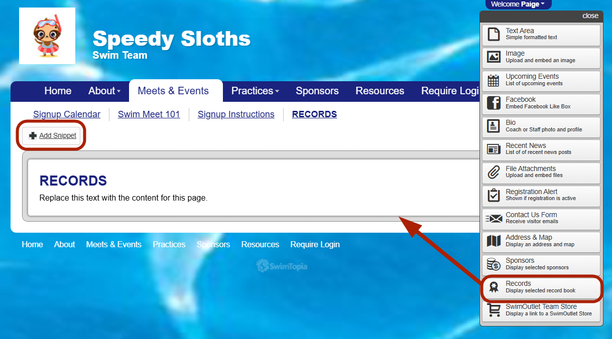 RECORDS-EDIT_RECORDS_SNIPPET.png