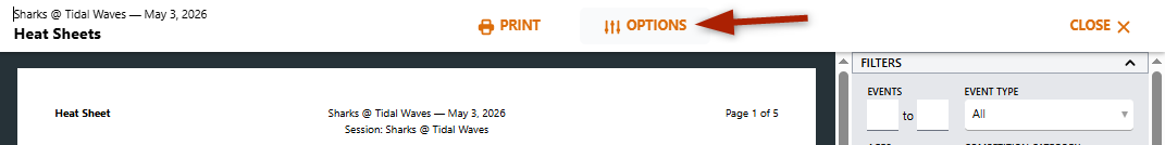 REPORT-DISPLAY_OPTIONS-BUTTON.png