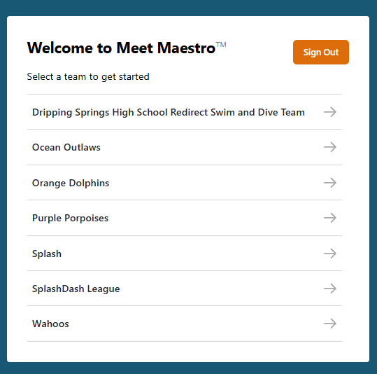MAESTRO-LOGIN-TEAM_LIST.png